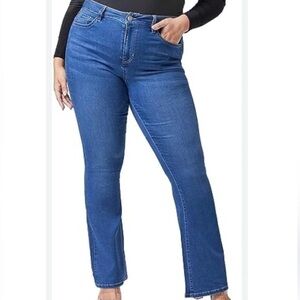 Stretch Jeans Size 24W Low Rise Classic Skinny